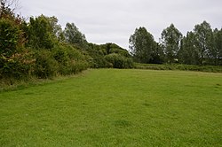 Brockwell Meadows 2.jpg