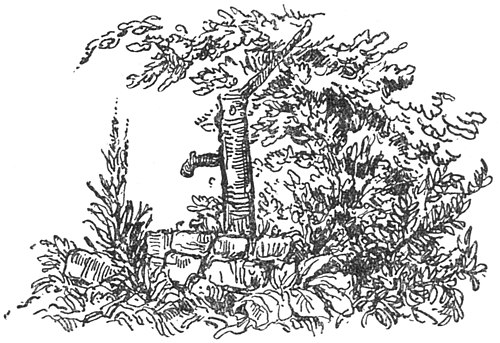 Illustration av Bertil Lybeck till "Brunnen" av G. M. Silfverstolpe