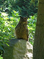 Friedhof Ohlsdorf: Verkehrsanbindung, Struktur, Geschichte