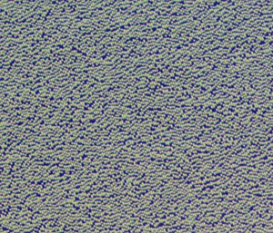 This is a photomicrograph of the pits at the inner edge of a CD-ROM; 2 second exposure under visible fluorescent light.