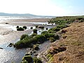 Caerlaverock National Nature Reserve