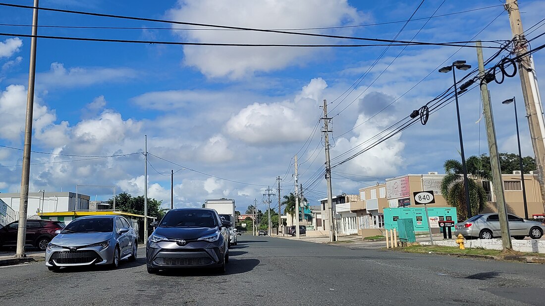 Cerro Gordo, Bayamón, Puerto Rico