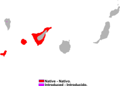 Distribución de Chalcides viridanus.