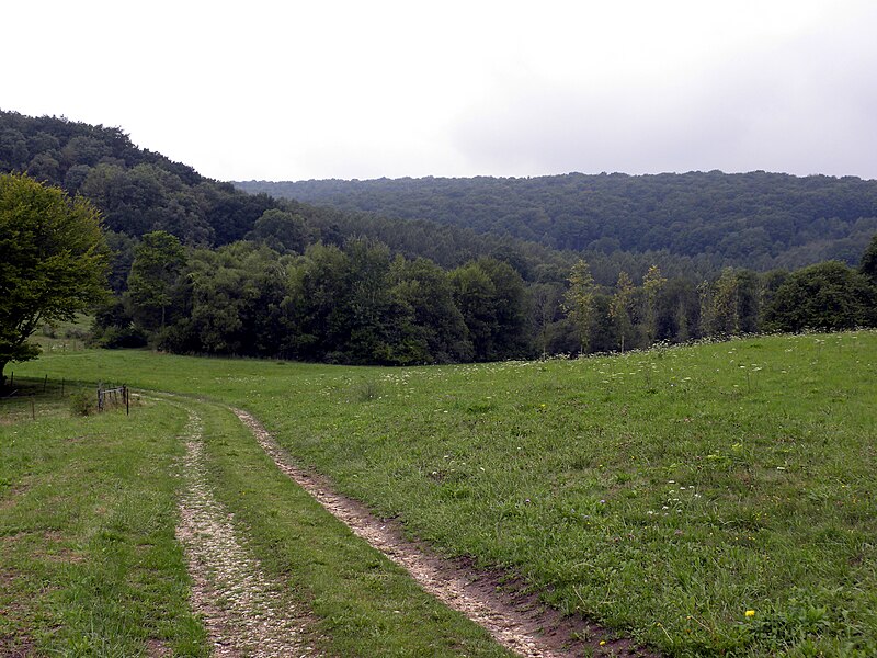 File:ChatelChéhéryFrance.JPG