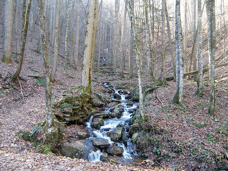 File:Chattahoohee National Forest - panoramio.jpg