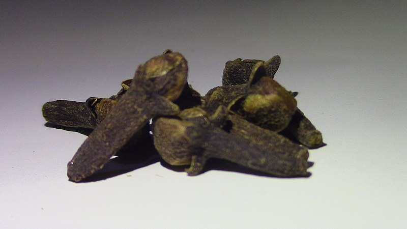 File:Clove 01.jpg