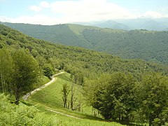 Vue sur la route dans le dernier kilomètre à découvert, avec des champs de fougères. Plus loin au centre-gauche La Ruère et ses prairies (1 326 m)[4].