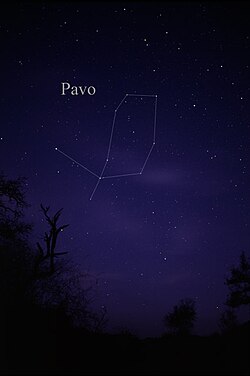 Constellation Pavo.jpg