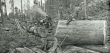 One of many log chuteways that ran through Converse Grove (AI-enhanced photograph) Converse-Basin-Chute-and-Steam-Donkey.jpg