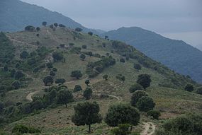 Corse, Parc naturel régional de Corse, vallée du Rizzanese, Sorbollano, le Ranch.JPG