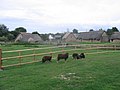 Reconstitutions du village médiéval de Cosmeston, Pays de Galles