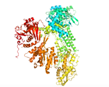 Crystal Structure of Prp8.png