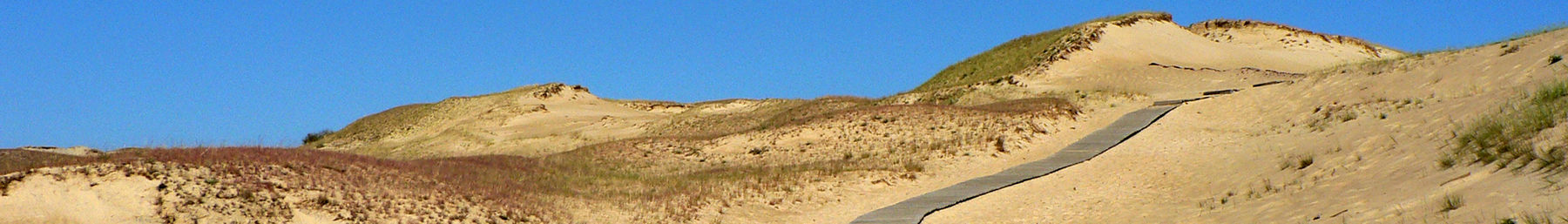 Curonian Spit banner.jpg