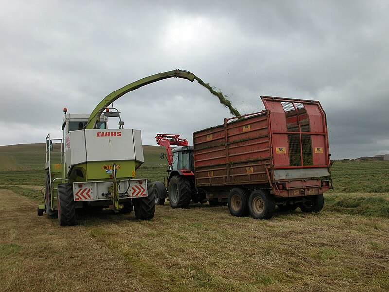 File:Cutting silage at Folsetter 5.jpg