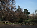 Giardini pubblici di P.ta Venezia.