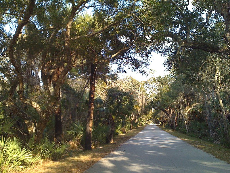 File:Deltona-Daytona Beach-Ormond Beach, FL, FL, USA - panoramio (3).jpg