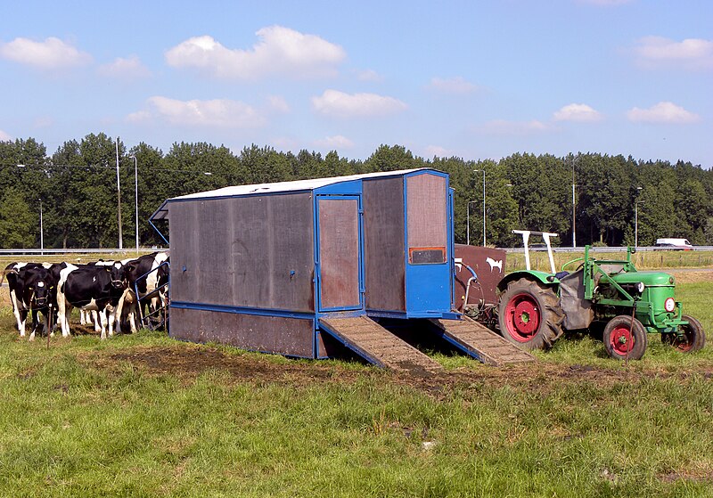 File:Deutz D 15 with cattle.jpg