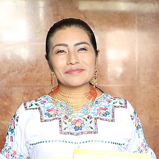 <span class="mw-page-title-main">Dina Farinango</span> Ecuadorian politician