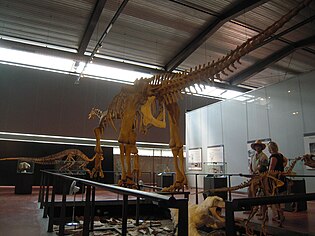 Dinosauria, le musée des dinosaures d'Espéraza.jpg