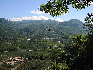 <span class="mw-page-title-main">Coffee production in Costa Rica</span>