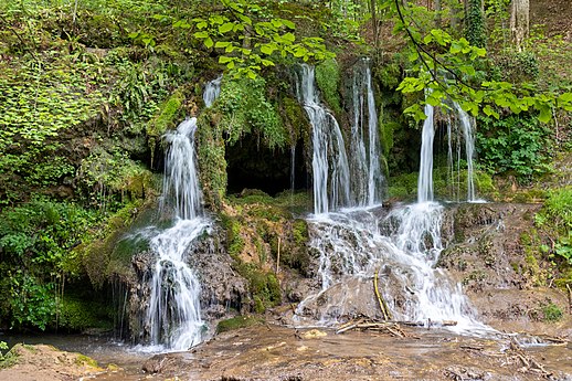 Fifth place in "Wiki Loves Earth" 2019 in Bulgaria