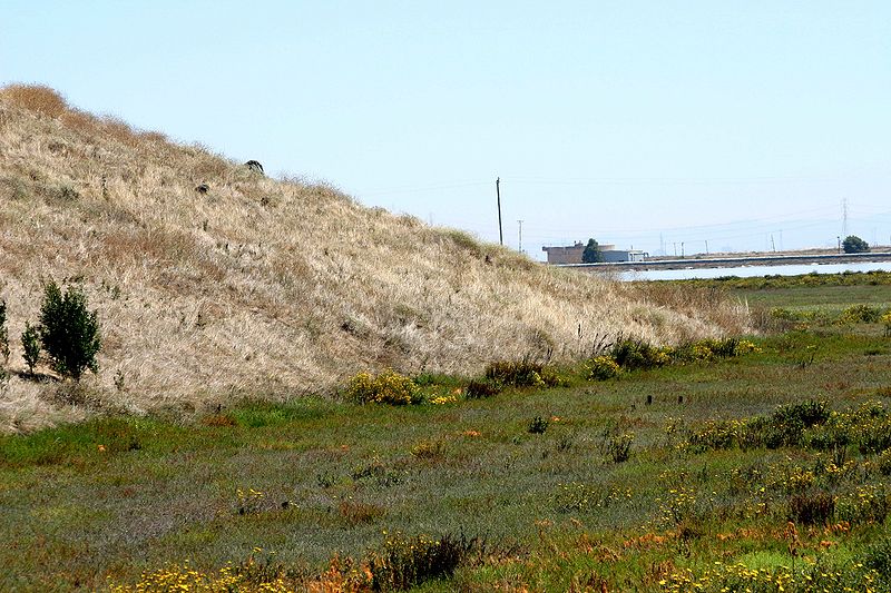 File:Don Edwards refuge 2005-2.jpg