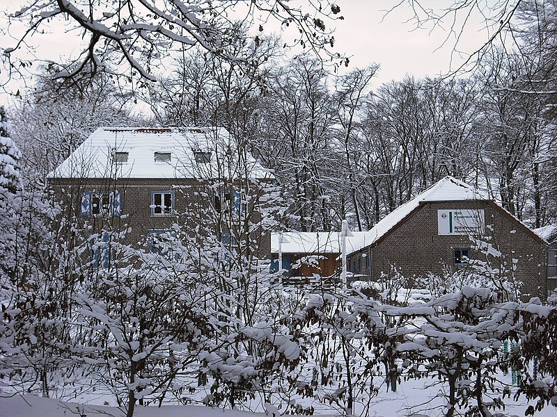 File:Donsbrüggen sos kinderdorf niederrhein winter.jpg