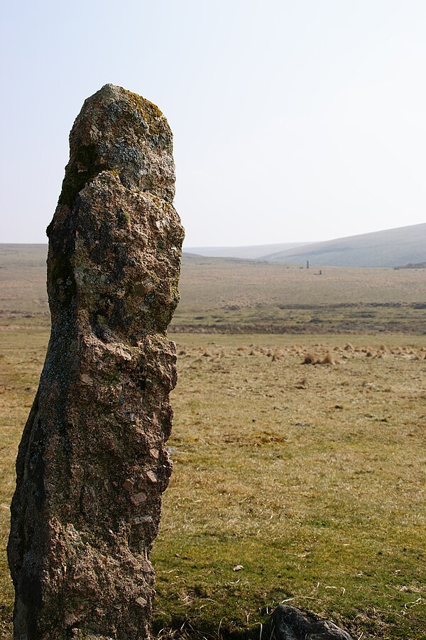 Menhir at Drizzlecombe