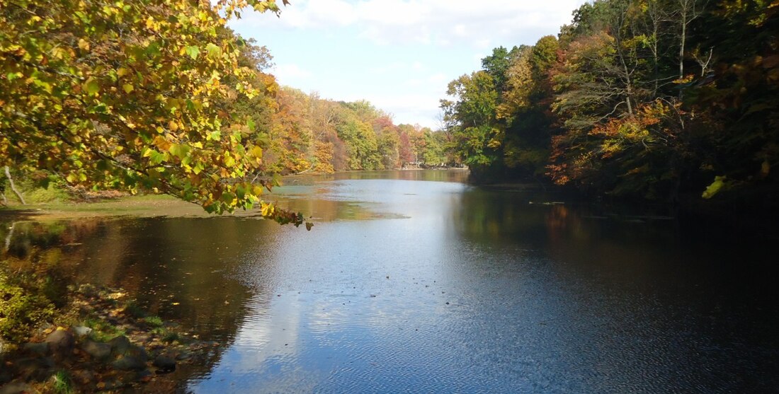 Mountainside (New Jersey)