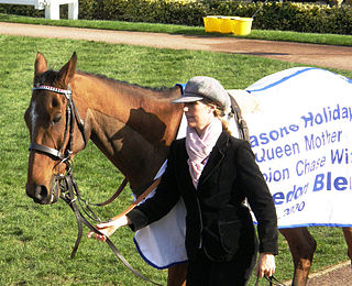 <span class="mw-page-title-main">Edredon Bleu</span> 20th-century steeplechaser racehorse