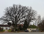 Eichen Friedhof Oberneuching-1.jpg