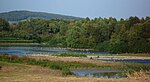 Einbeck - Nature reserve Leinetal.JPG