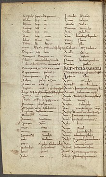 The Vienna manuscript containing Endlicher's Glossary Endlicher's Glossary.jpg