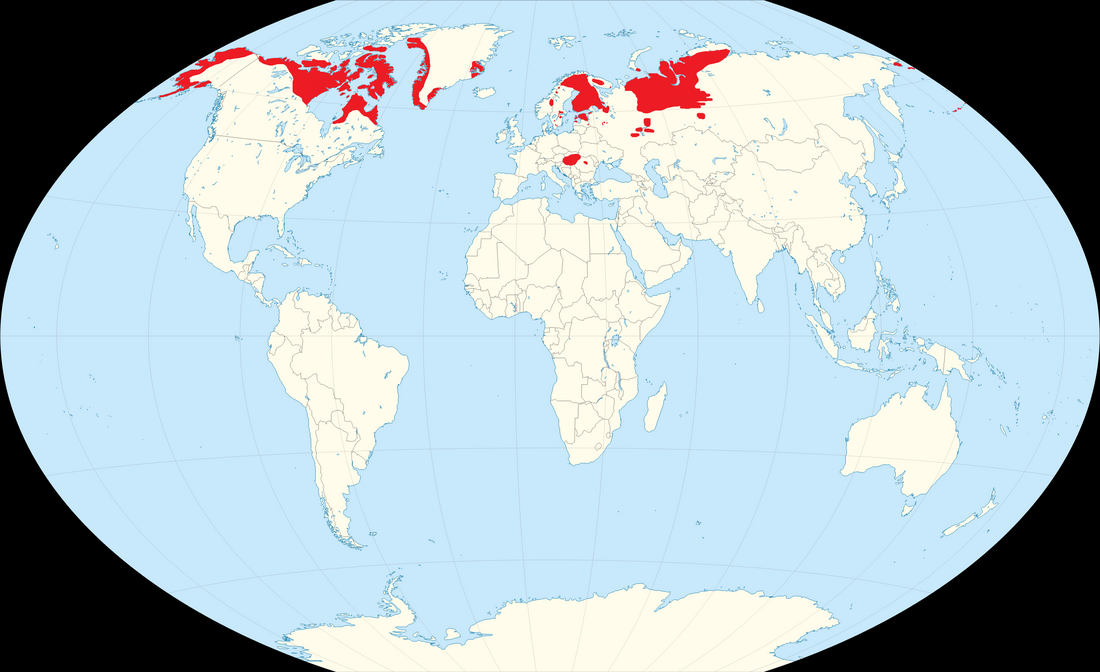 Eskimo–Uralic languages