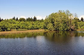 Illustrasjonsbilde av artikkelen Étang de la Bressonne