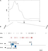 December 27: Example of a Scan for quantitative trait loci on a single chromosome