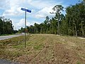 circa-2020 bridge over Whaley Branch on FR-356, from south