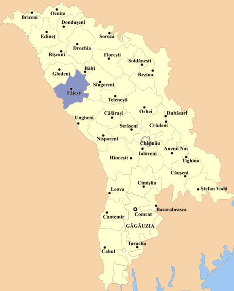 File:Falesti county.png