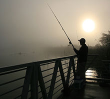 Recreational fishing - Wikipedia