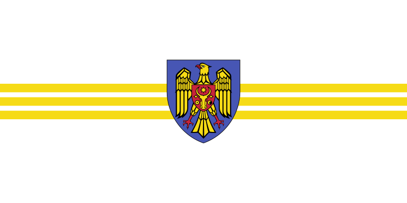 Datei:Flag of Chișinău.svg