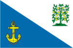 Lomonossovi rajooni lipp