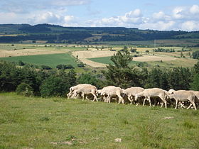 Fontanes (Lozère)