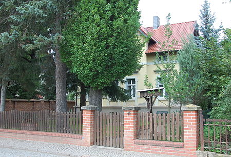 Friedrich Engels Straße 16 (Gernrode)