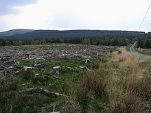 View in Glasfynydd Forest Glasfynydd Forest - geograph.org.uk - 798752.jpg