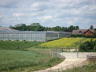 <span class="mw-page-title-main">Chawston</span> Human settlement in England