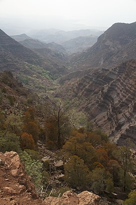 Goda Mountains - National Park of Forêt du Day.jpg