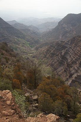 Года таулары - Forêt du Day.jpg ұлттық паркі