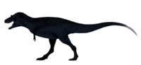 Миниатюра для Файл:Gorgosaurus libratus(переработка другой работы).png