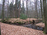 Graeftenanlage Nunnepollen Rhede Westfalen1