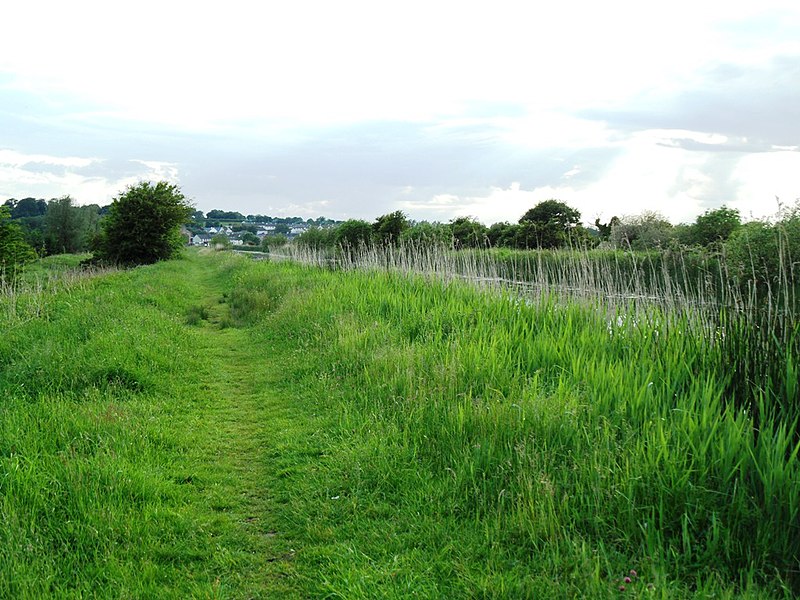 File:Grand Canal east of Robertstown, Co. Kildare - geograph.org.uk - 2987666.jpg